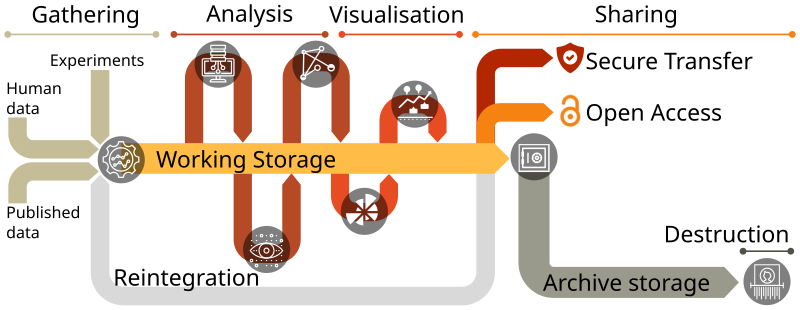 Data Lifecycle